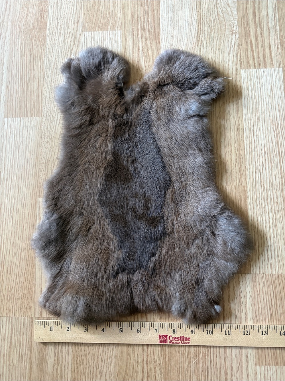 B0207 rabbit pelt